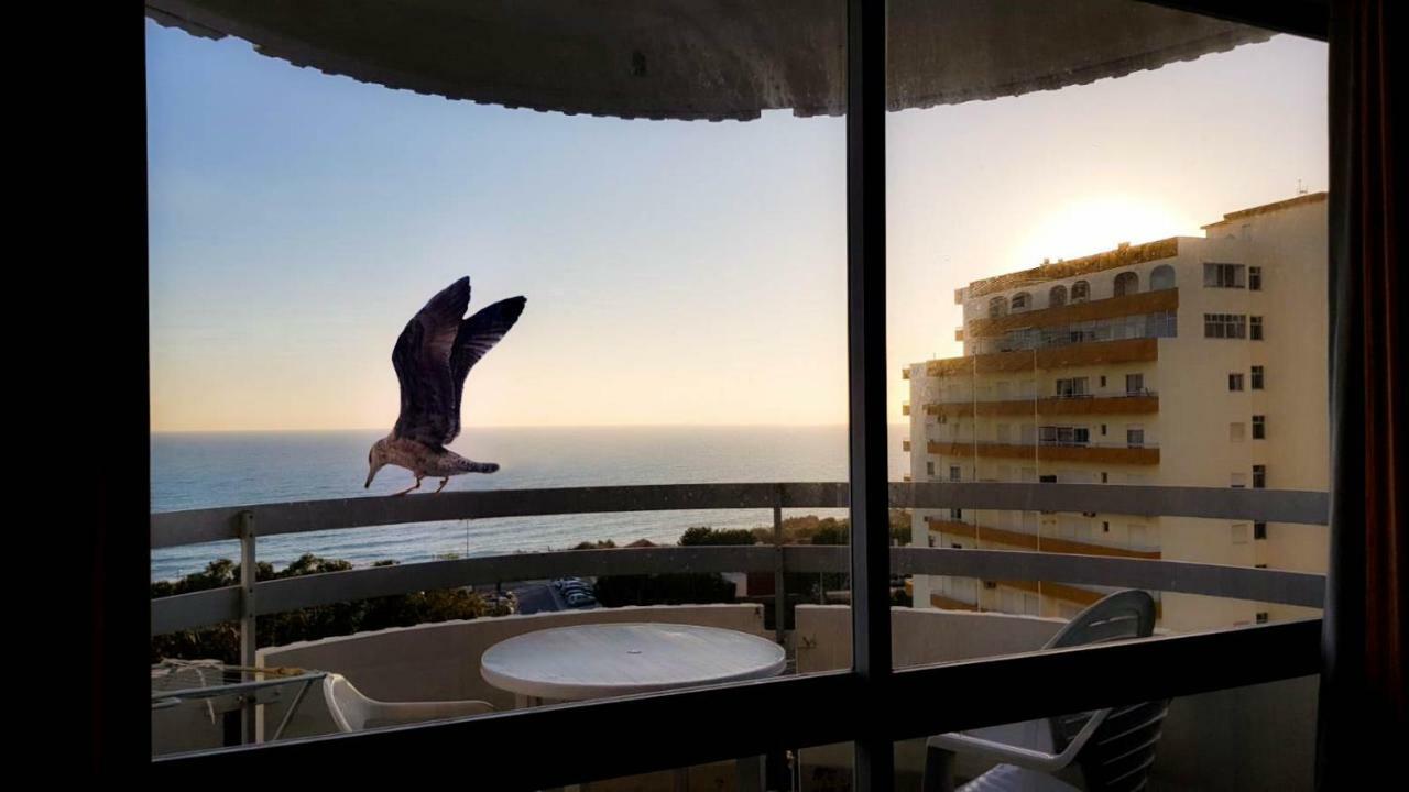 Ocean View By Encantos Do Algarve - 910 Portimão Eksteriør bilde